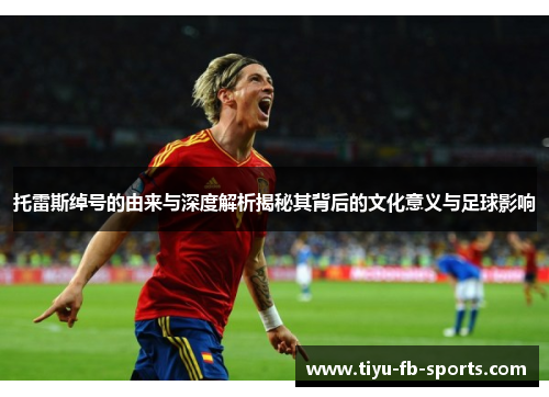 托雷斯绰号的由来与深度解析揭秘其背后的文化意义与足球影响 托雷斯绰号的由来与深度解析揭秘其背后的文化意义与足球影响