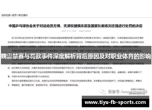 魏震禁赛与罚款事件深度解析背后原因及对职业体育的影响 魏震禁赛与罚款事件深度解析背后原因及对职业体育的影响