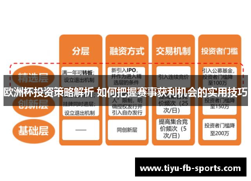 欧洲杯投资策略解析 如何把握赛事获利机会的实用技巧