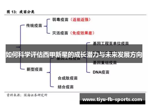 如何科学评估西甲新星的成长潜力与未来发展方向 如何科学评估西甲新星的成长潜力与未来发展方向