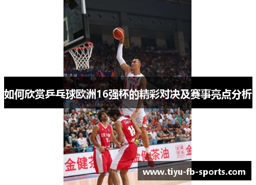 如何欣赏乒乓球欧洲16强杯的精彩对决及赛事亮点分析
