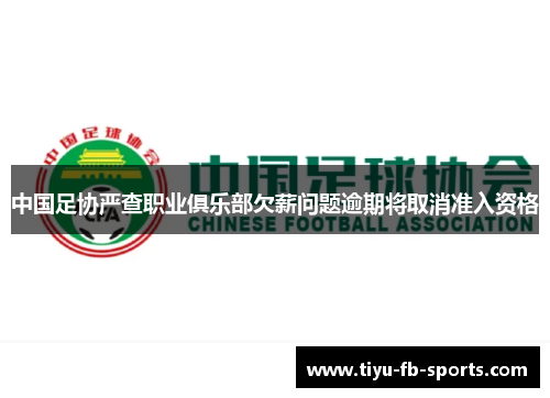 中国足协严查职业俱乐部欠薪问题逾期将取消准入资格