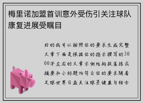 梅里诺加盟首训意外受伤引关注球队康复进展受瞩目